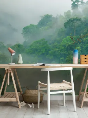 Papier Peint Panoramique Pluie dans la Forêt Brumeuse