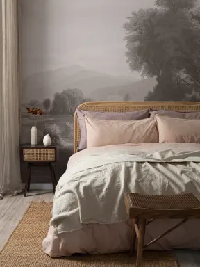 Peinture murale d'un paysage américain gris