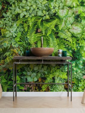 Plant Wall Leaf Wallpaper Mural