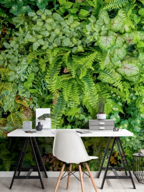 Plant Wall Leaf Wallpaper Mural