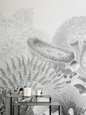 Illustrations vintage grises Récif corallien Mural