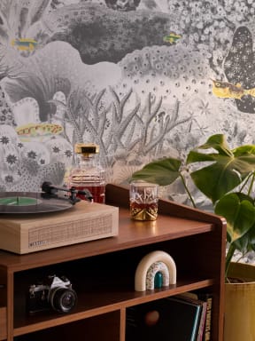Grå vintage illustrasjoner Marine planter fototapet