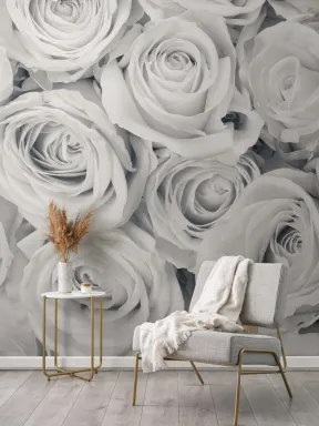 Fototapete Trübe Rosen