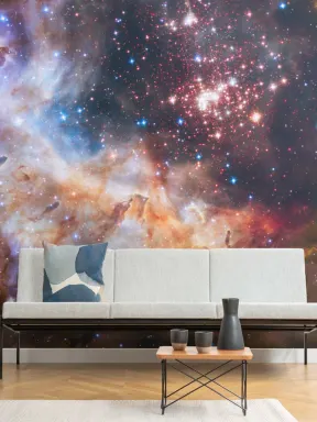 Westerlund Cluster Space Wallpaper Mural
