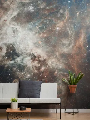 Tarantula Nebula Wallpaper Mural