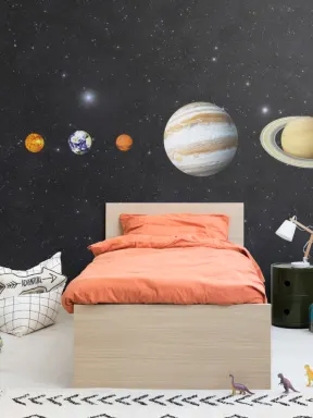 The Planets Wallpaper Mural