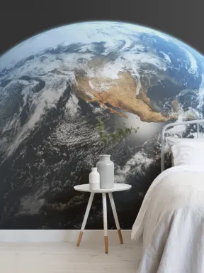 Earth From Space Wall Mural