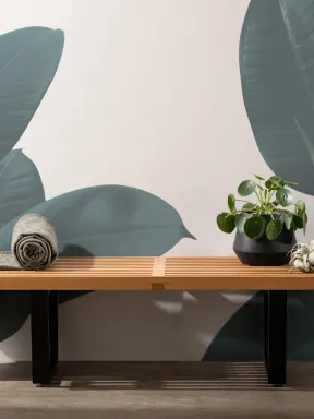 Rubber Plant Wallpaper Mural