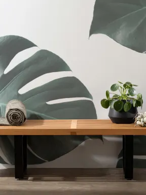 Photographic Monstera Wallpaper Mural