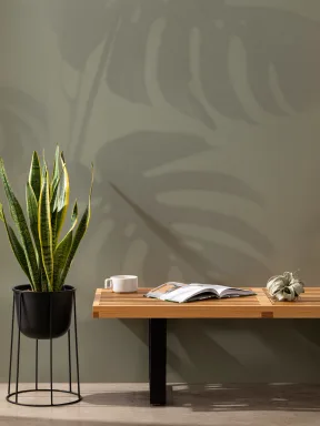 Green Monstera Leaf Shadow Mural