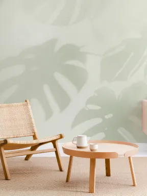 Salbei Grün Monstera Blatt Schatten Fototapete
