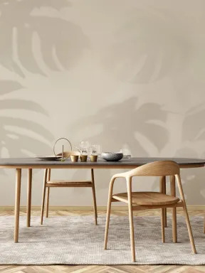 Neutrale Monstera Blatt Schatten Fototapete