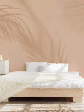 Peach Palm Leaf Shadow Mural