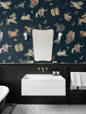 Navy Illustrated Astrological Star Signs Mural