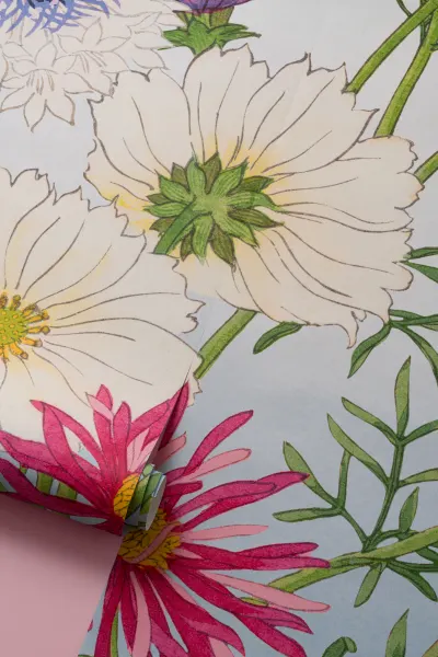Cosmos