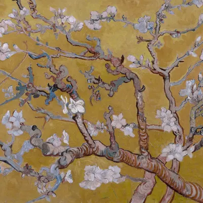 Almond Yellow pattern image