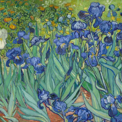 Irises pattern image