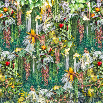 Herbaceous pattern image