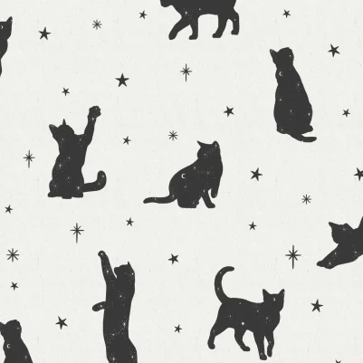 Salem pattern image
