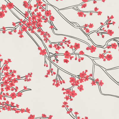 Renewal pattern image