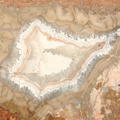 Xylopal pattern image