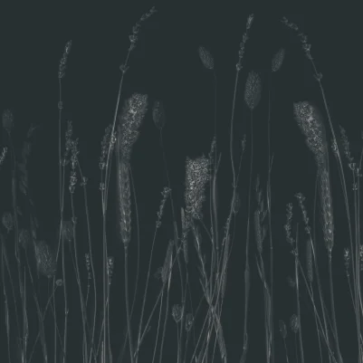 Midnight Meadow pattern image