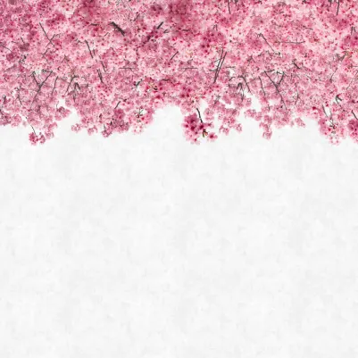 Hanami Pink pattern image
