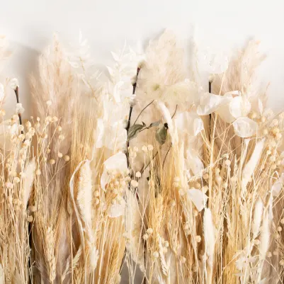 Meadow pattern image