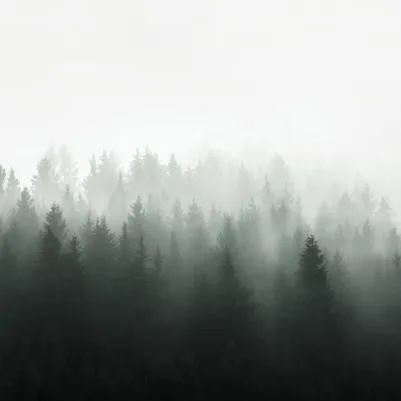 Lancewood pattern image