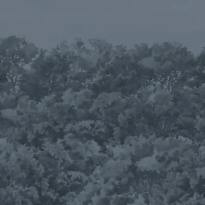 Buttonwood Navy pattern image