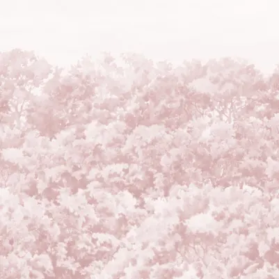 Buttonwood Pink pattern image