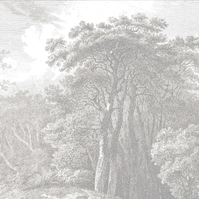 Hackfall Grey pattern image