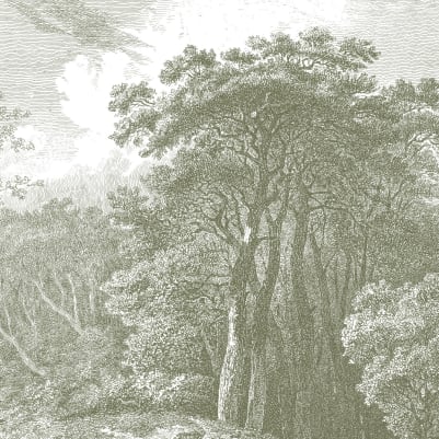 Hackfall Green pattern image