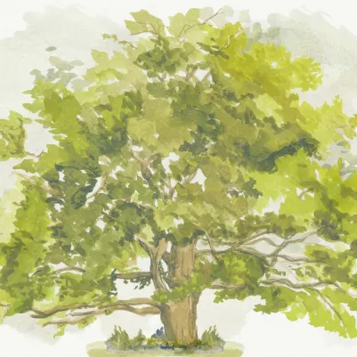 Summer Leaves pattern image