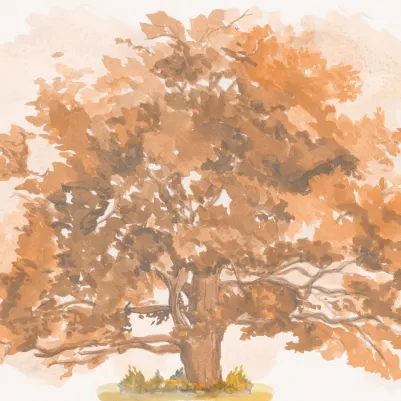 Autumn Leaves pattern image