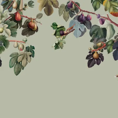 Ficus Green pattern image