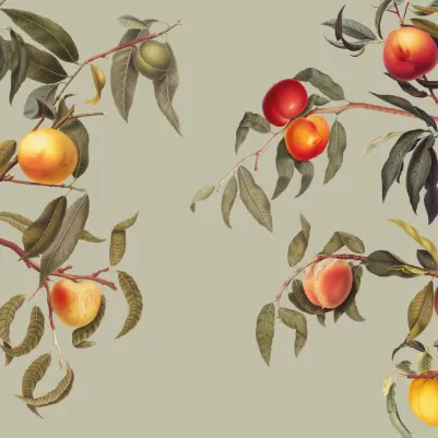 Peach Tree Green pattern image