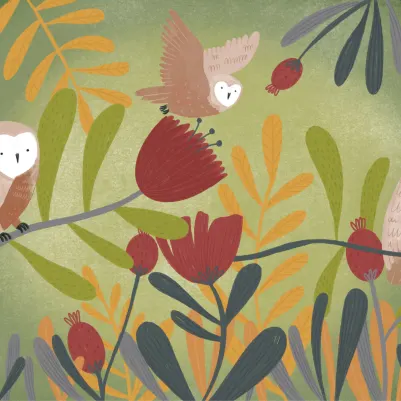 Hooting pattern image