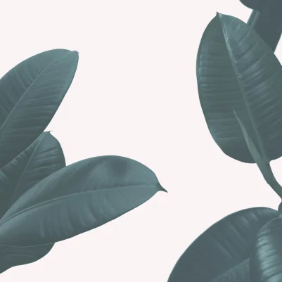 Rubber pattern image