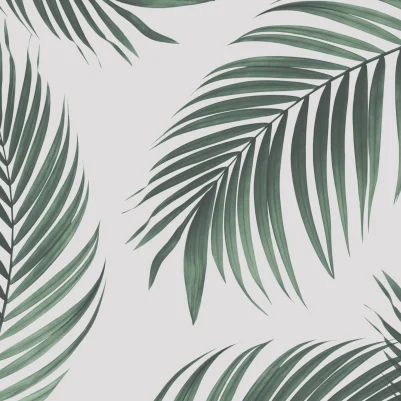 Spindle pattern image