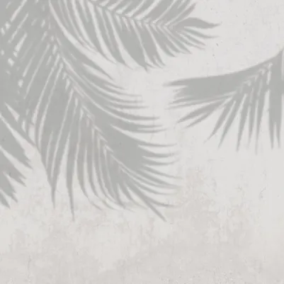 Canopy Gray pattern image