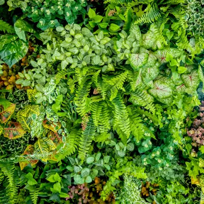 Vertical pattern image