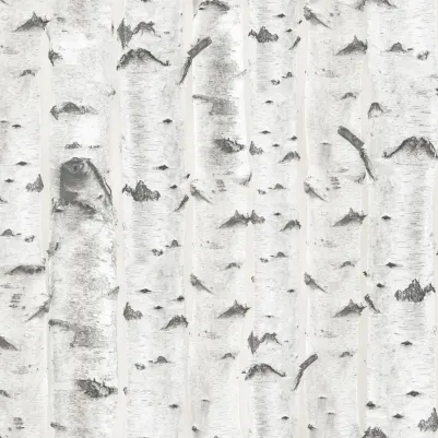 Birch Cream pattern image