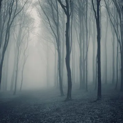 Mystique pattern image