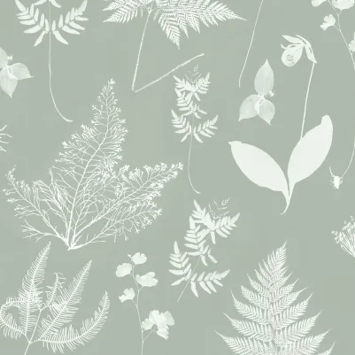 Botany pattern image