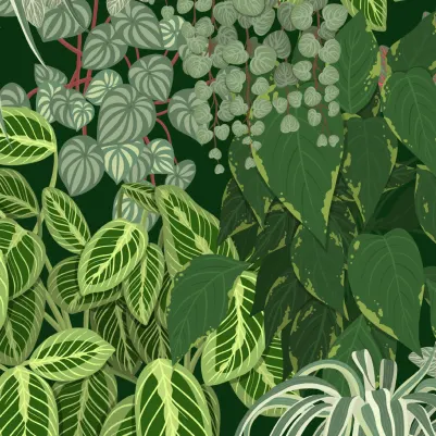 Organico pattern image