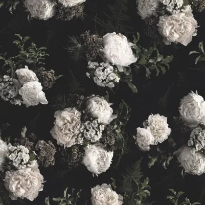 Evelyn Black & White pattern image