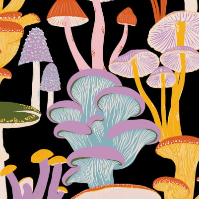 Palenque Black pattern image