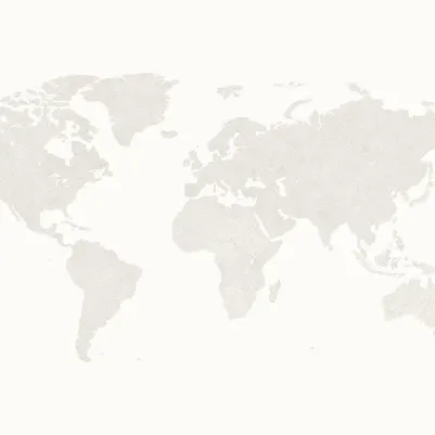 Vector Monochrome pattern image