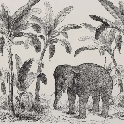 Loxodonta pattern image